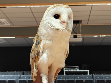 Noc sów 2026 Zapolice, 